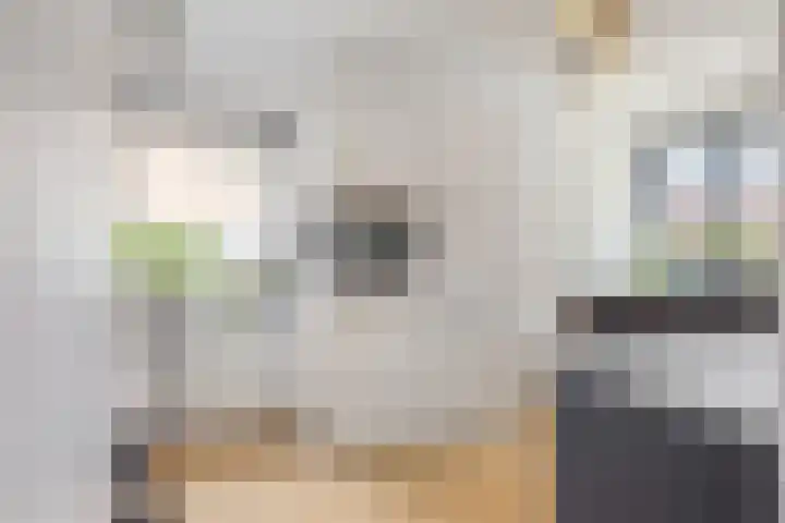 Argusvlinder 17 Breda thumbnail 12