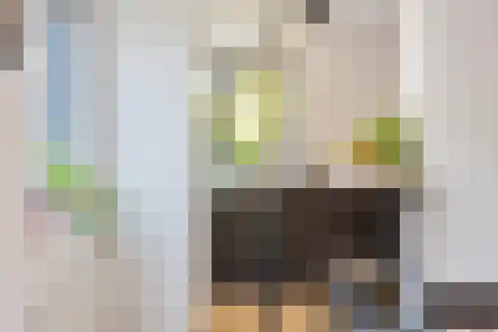 Argusvlinder 17 Breda thumbnail 14