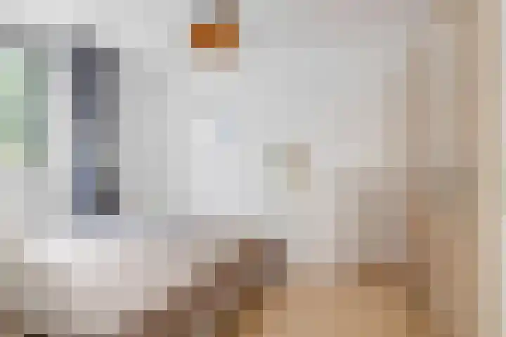 Argusvlinder 17 Breda thumbnail 18