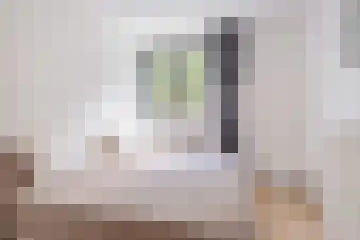 Argusvlinder 17 Breda thumbnail 19