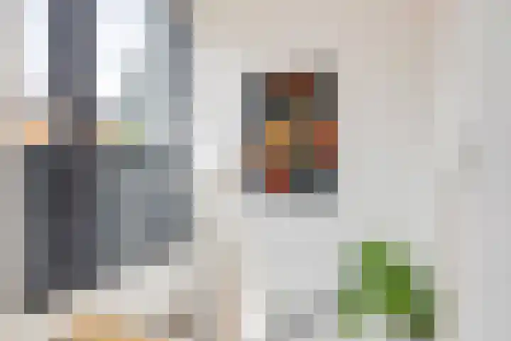 Argusvlinder 17 Breda thumbnail 26