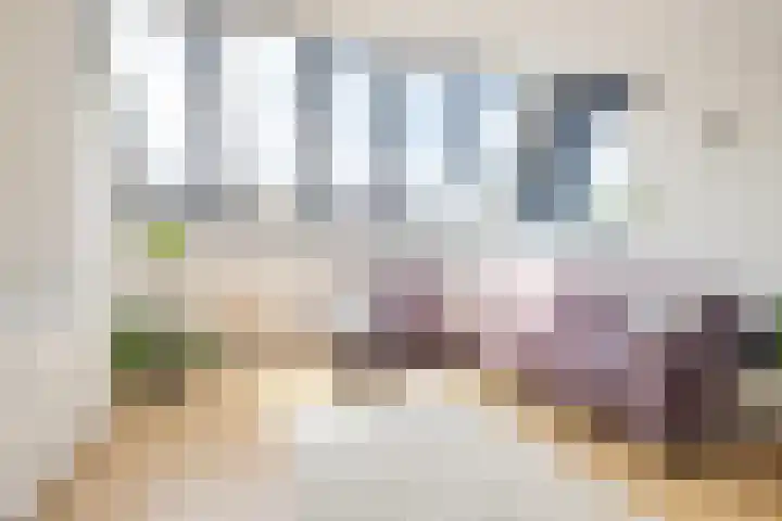 Argusvlinder 17 Breda thumbnail 28