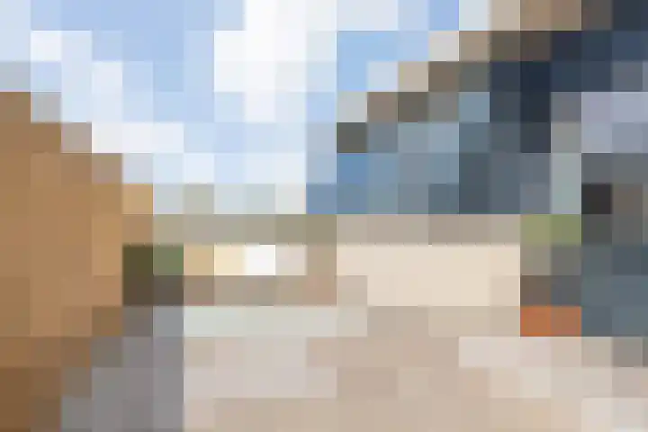 Argusvlinder 17 Breda thumbnail 30
