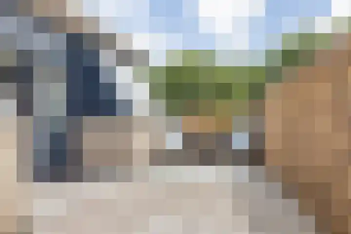 Argusvlinder 17 Breda thumbnail 31