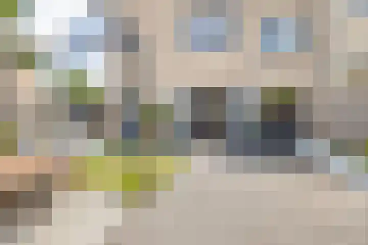Argusvlinder 17 Breda thumbnail 35
