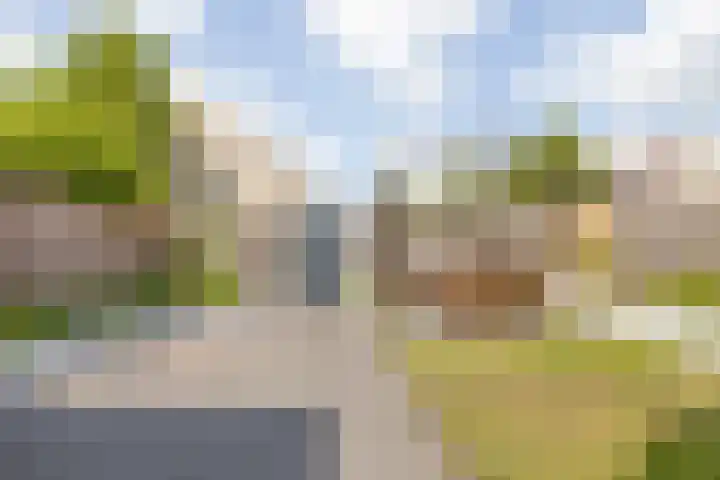 Argusvlinder 17 Breda thumbnail 36