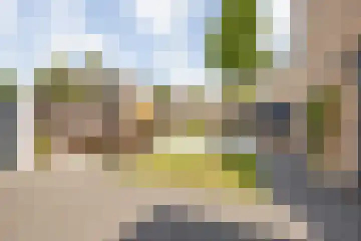 Argusvlinder 17 Breda thumbnail 37