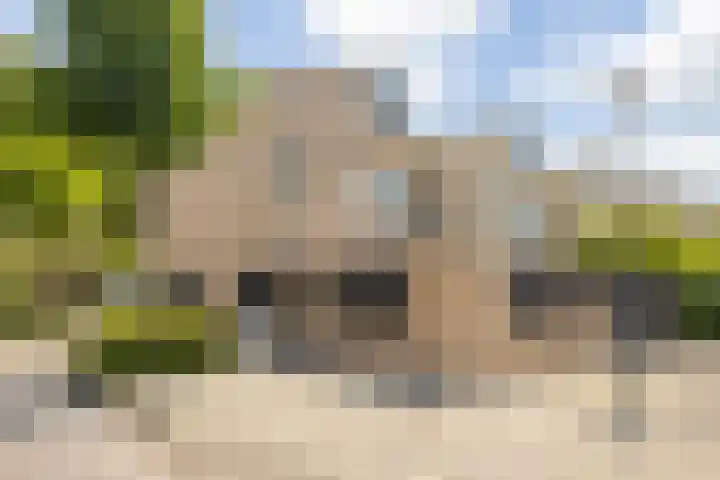 Argusvlinder 17 Breda thumbnail 39