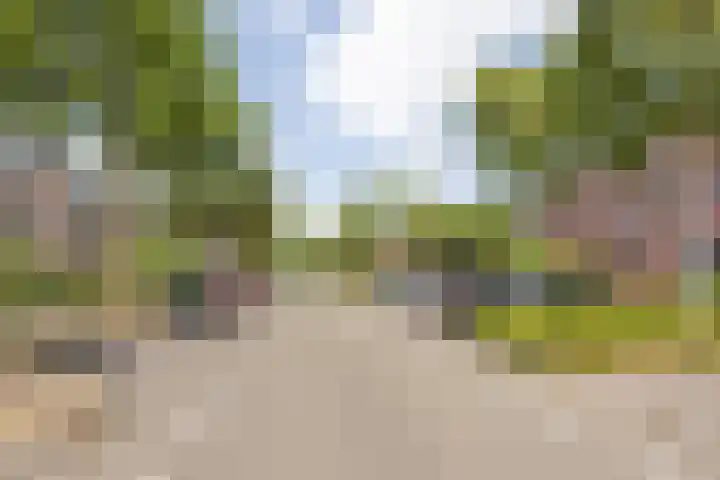 Argusvlinder 17 Breda thumbnail 40
