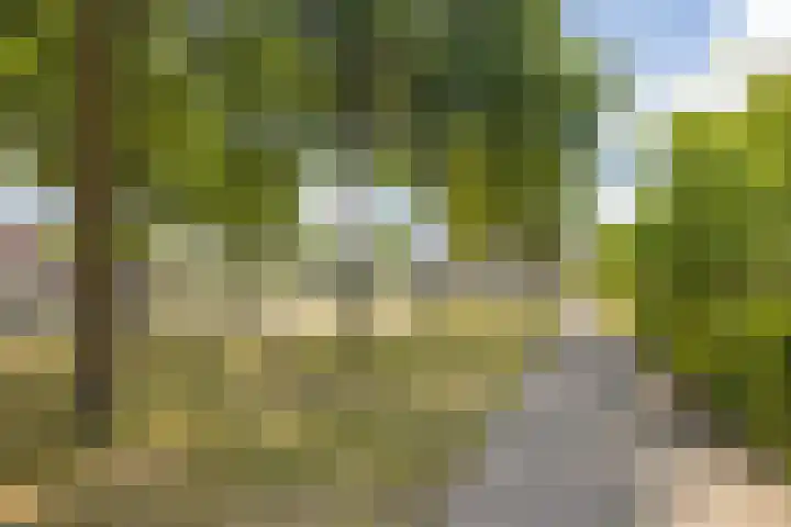Argusvlinder 17 Breda thumbnail 41