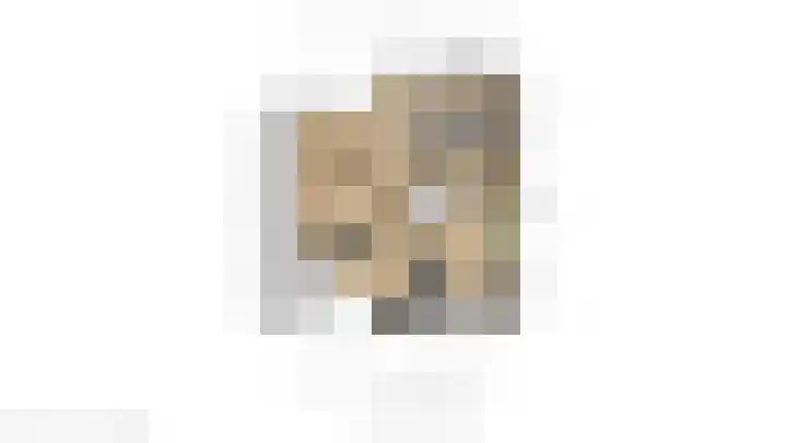 Argusvlinder 17 Breda thumbnail 42
