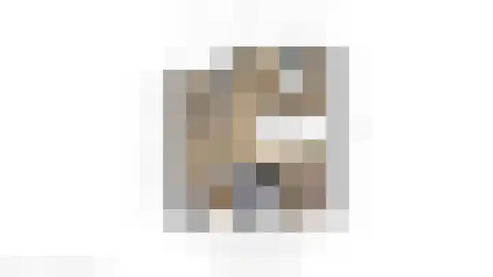 Argusvlinder 17 Breda thumbnail 44