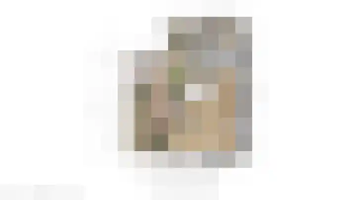 Argusvlinder 17 Breda thumbnail 45