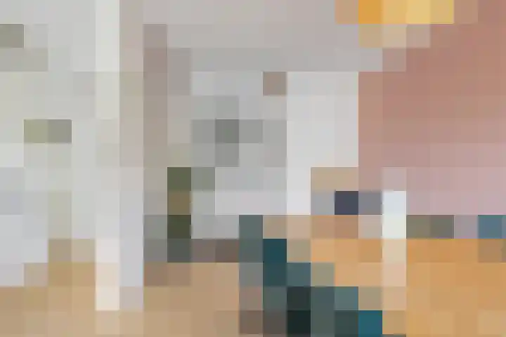 Argusvlinder 17 Breda thumbnail 8