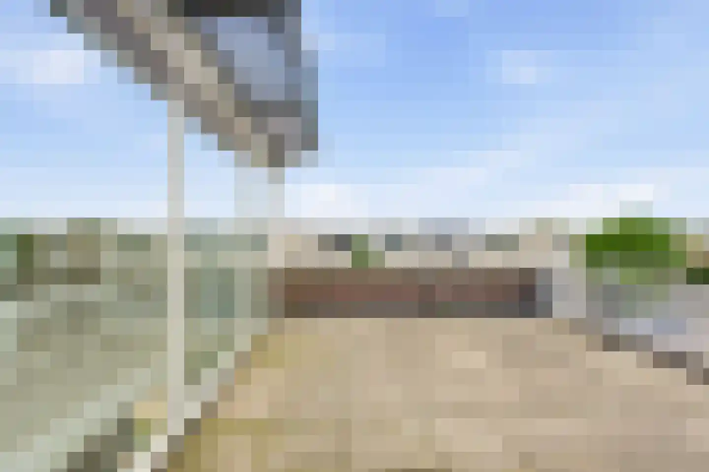 Argusvlinder 4 Diemen thumbnail 10