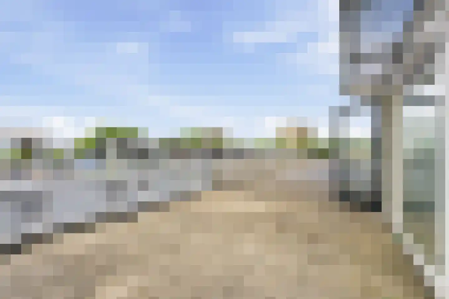 Argusvlinder 4 Diemen thumbnail 11