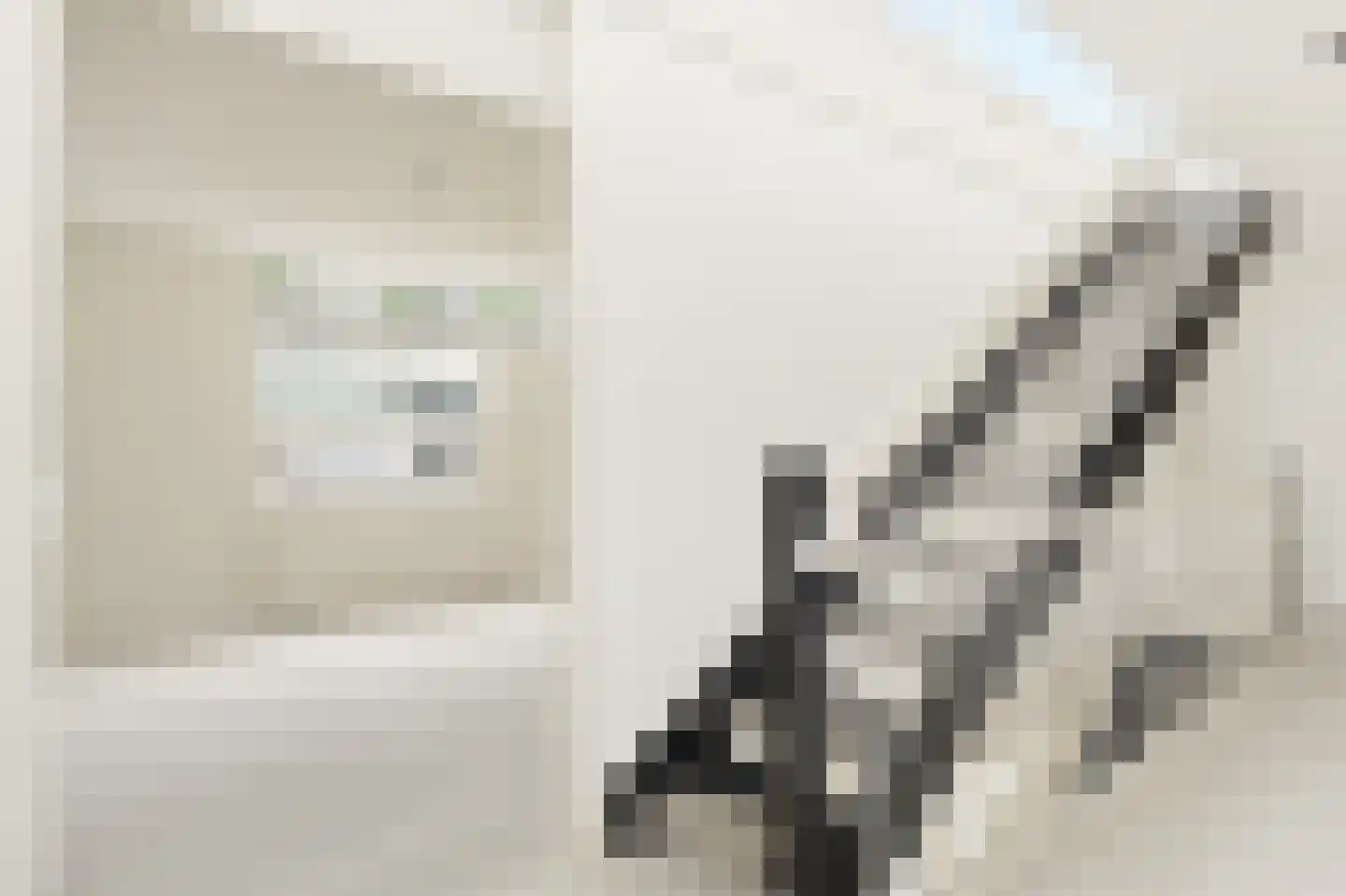 Argusvlinder 4 Diemen thumbnail 16