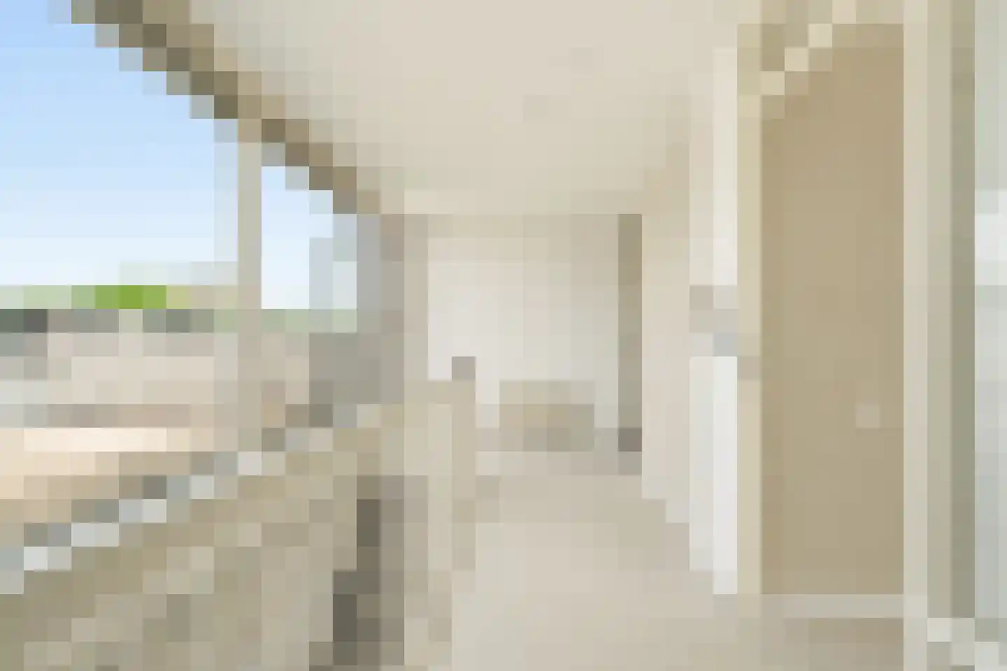 Argusvlinder 4 Diemen thumbnail 8