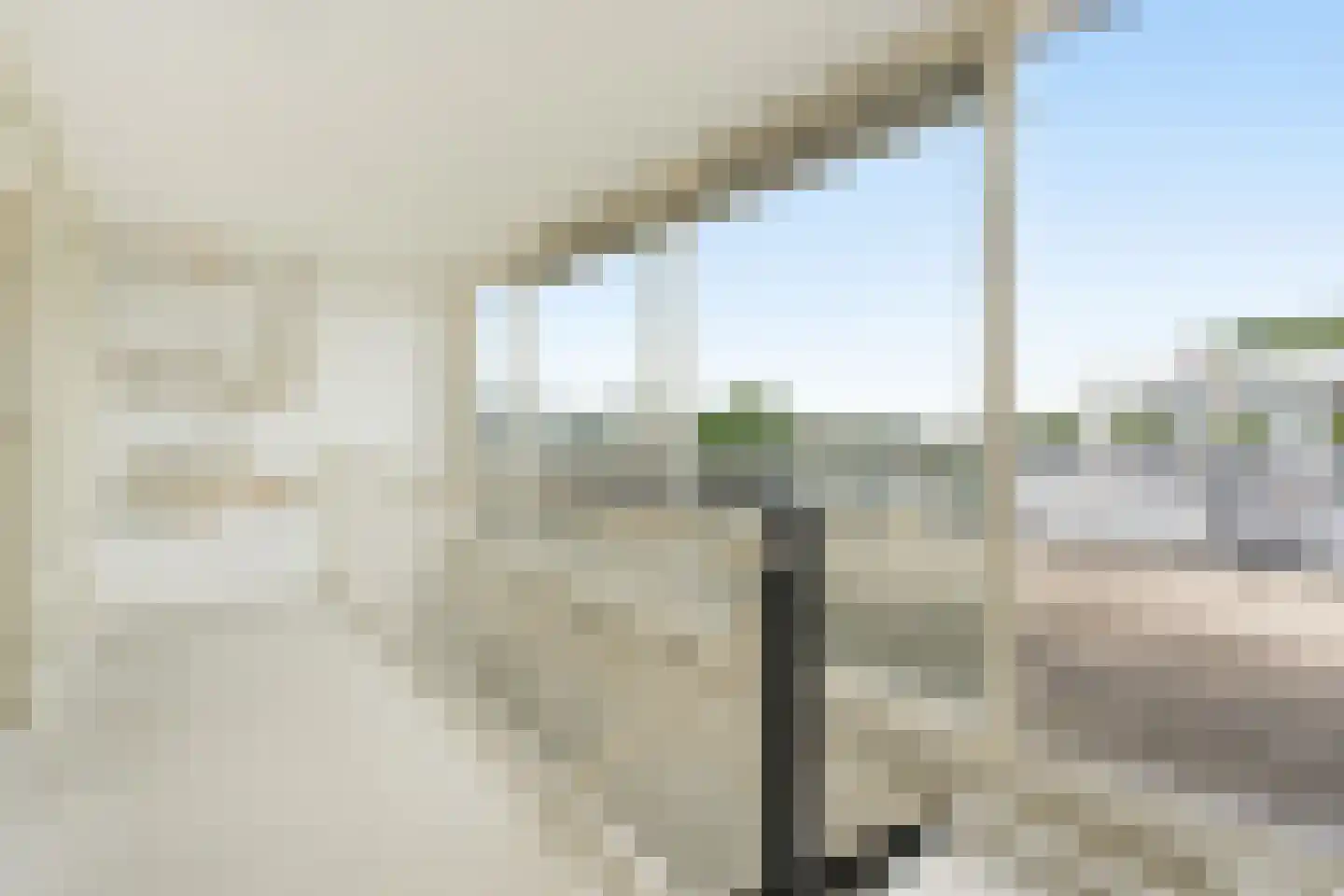 Argusvlinder 4 Diemen thumbnail 9
