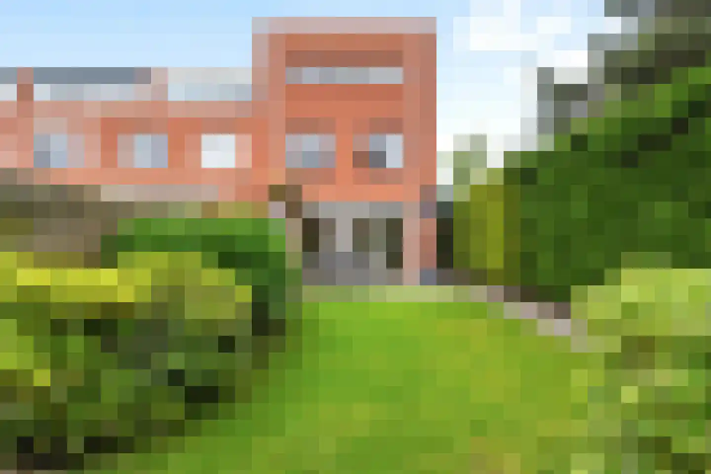 Argusvlinder 48 Breda