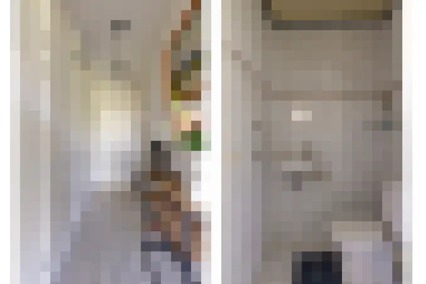 Argusvlinder 55 Breda thumbnail 12