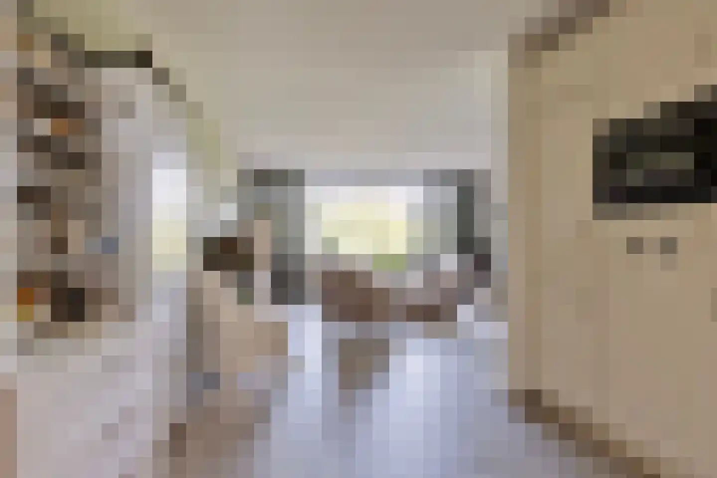 Argusvlinder 55 Breda thumbnail 17