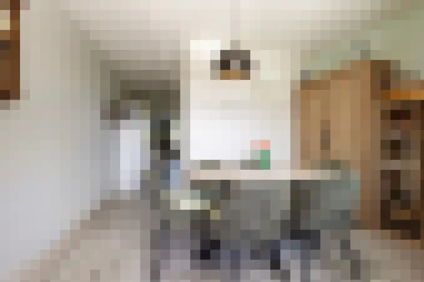 Argusvlinder 55 Breda thumbnail 19