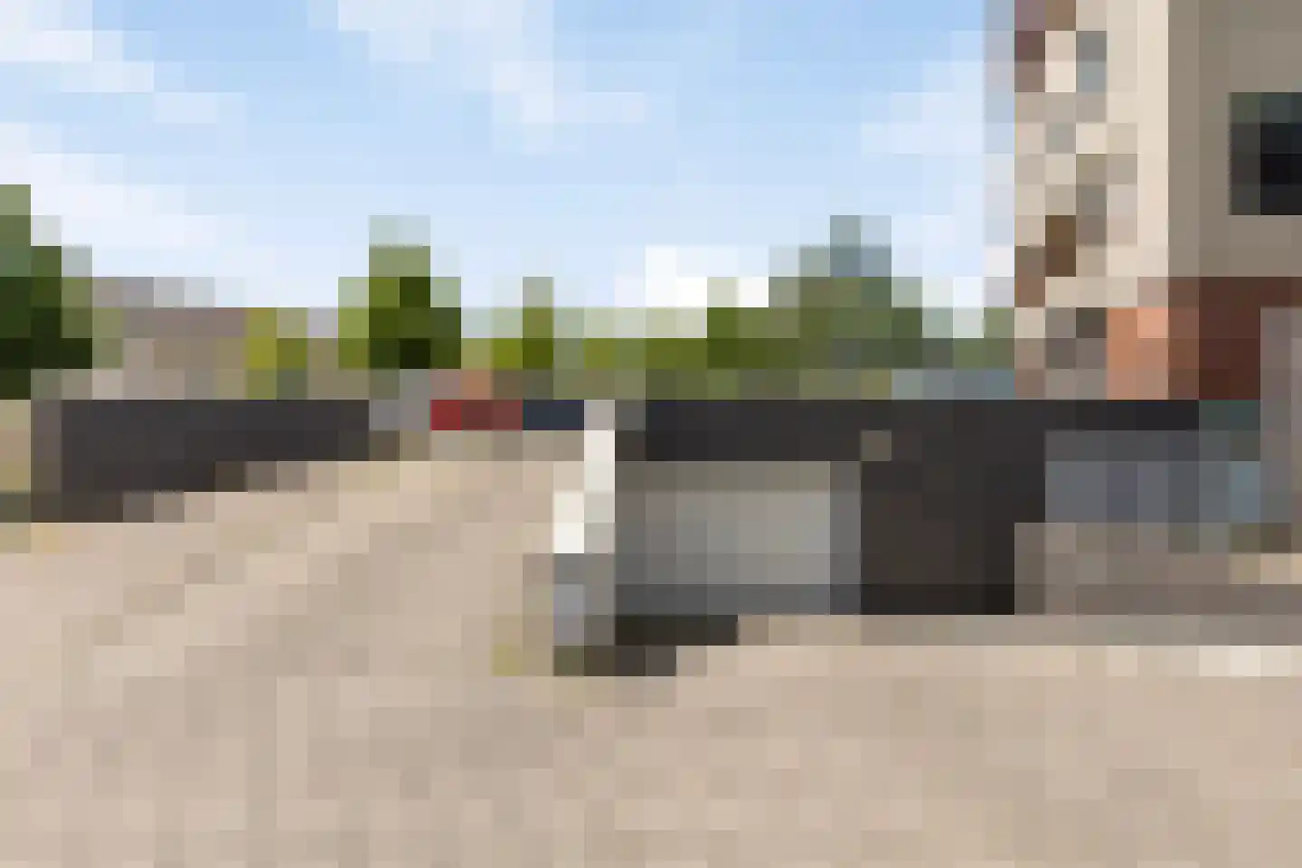Argusvlinder 55 Breda thumbnail 24