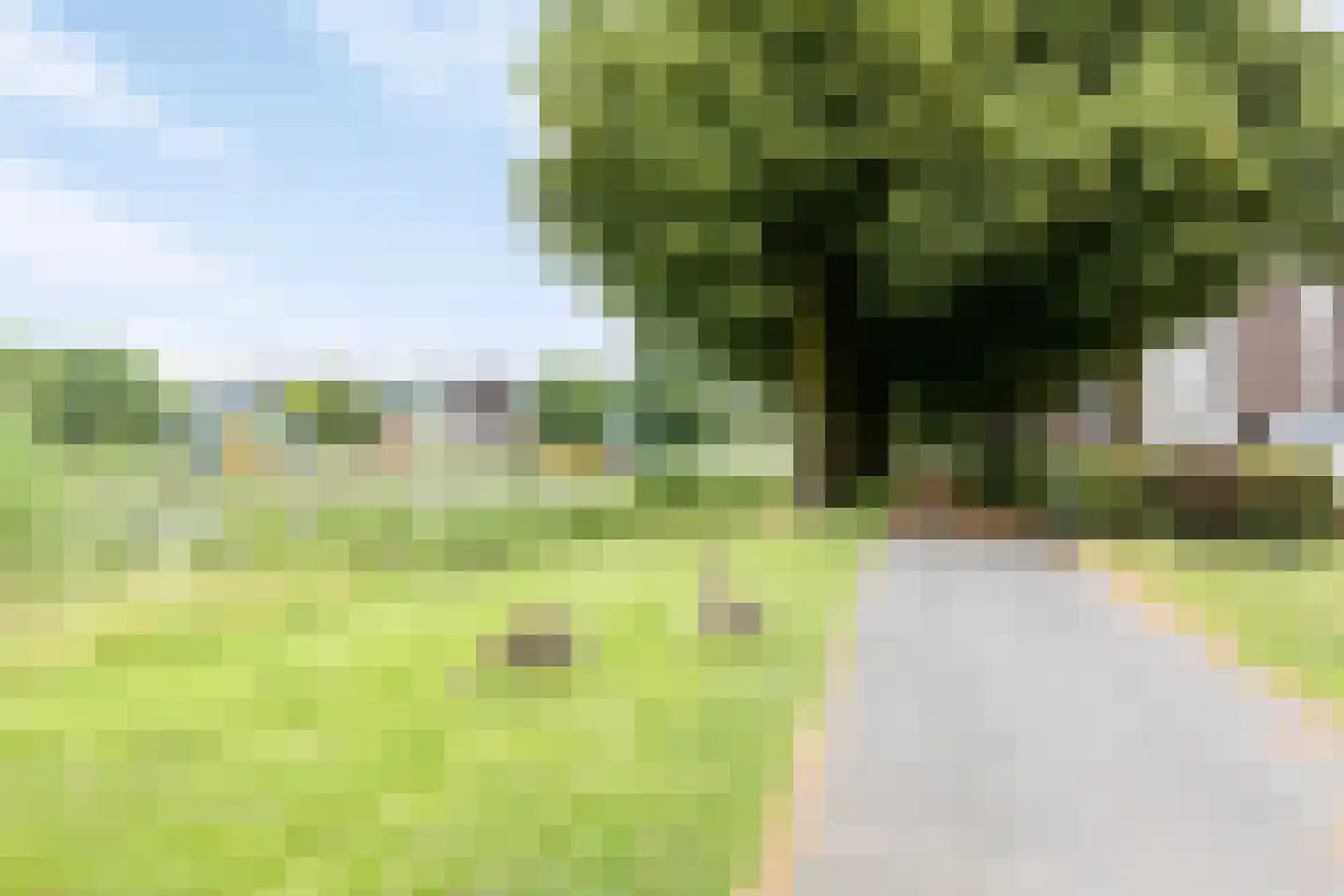 Argusvlinder 55 Breda thumbnail 26
