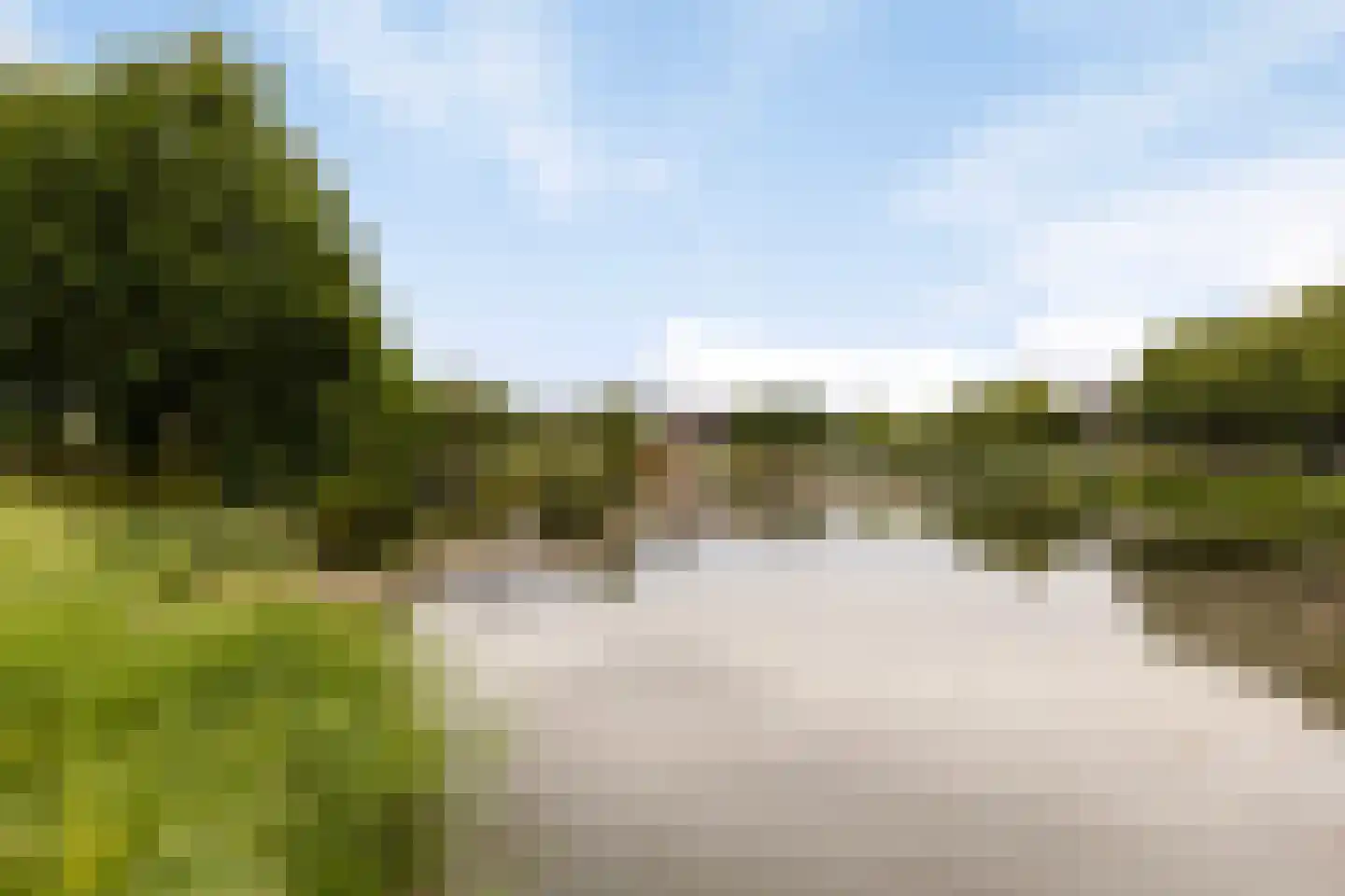 Argusvlinder 55 Breda thumbnail 27