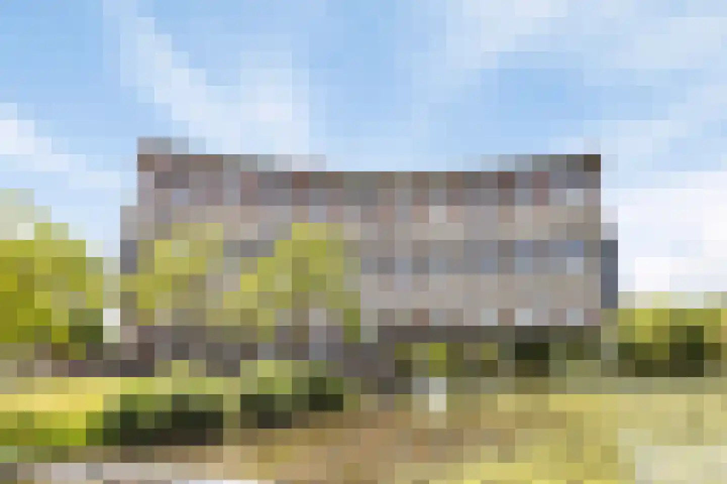 Argusvlinder 55 Breda thumbnail 28