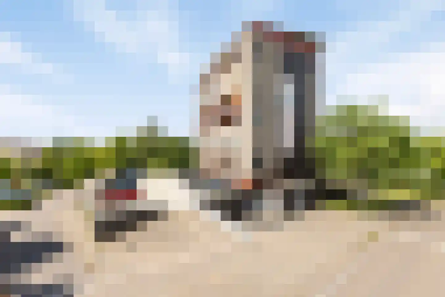 Argusvlinder 55 Breda thumbnail 29