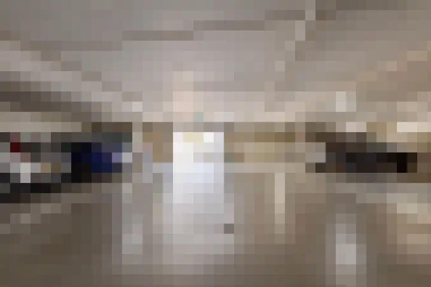 Argusvlinder 55 Breda thumbnail 4