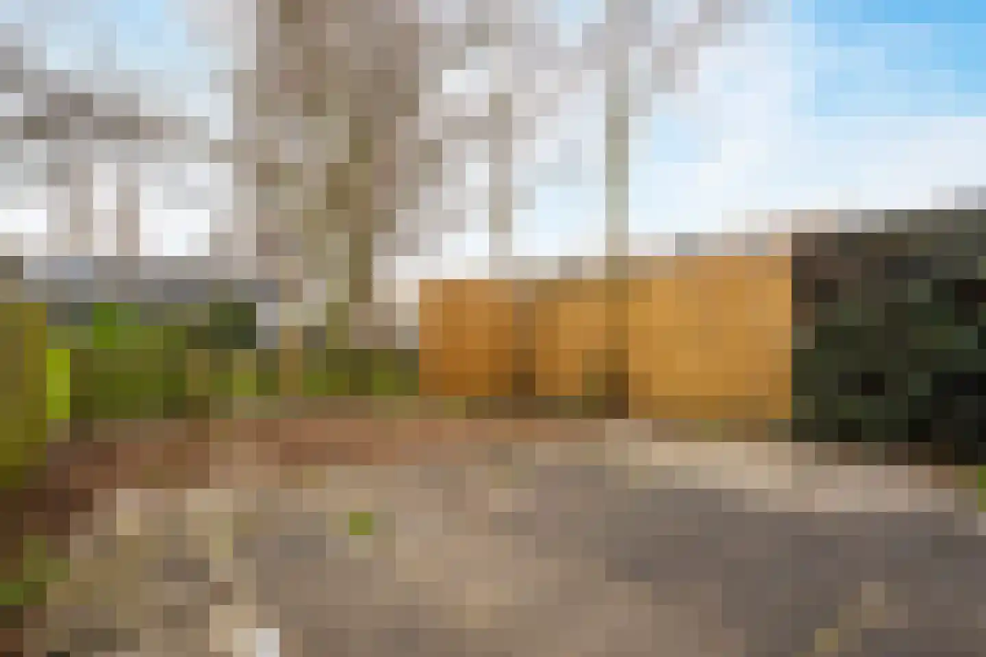 Argusvlinder 6 Diemen thumbnail 10