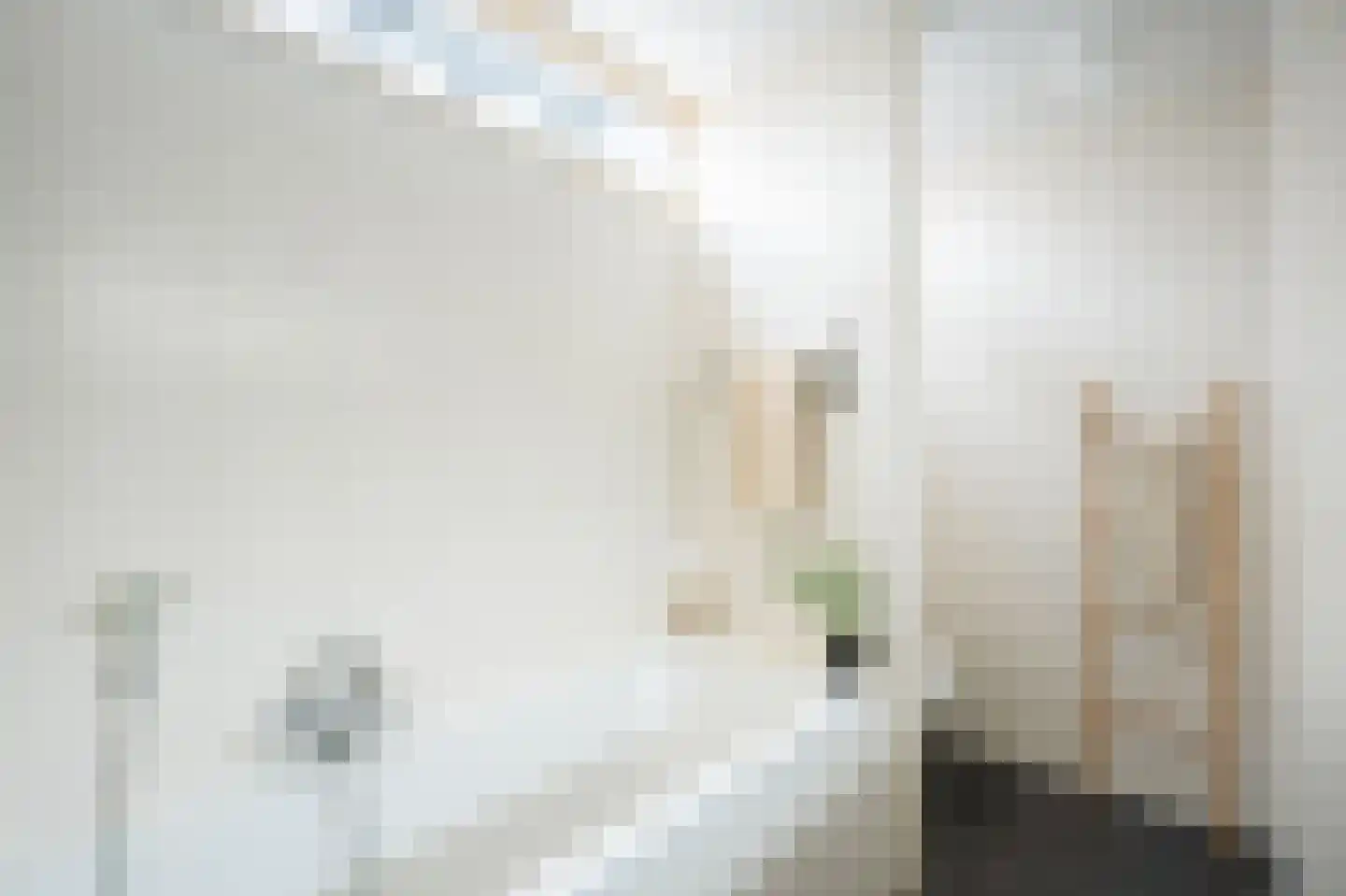 Argusvlinder 6 Diemen thumbnail 22