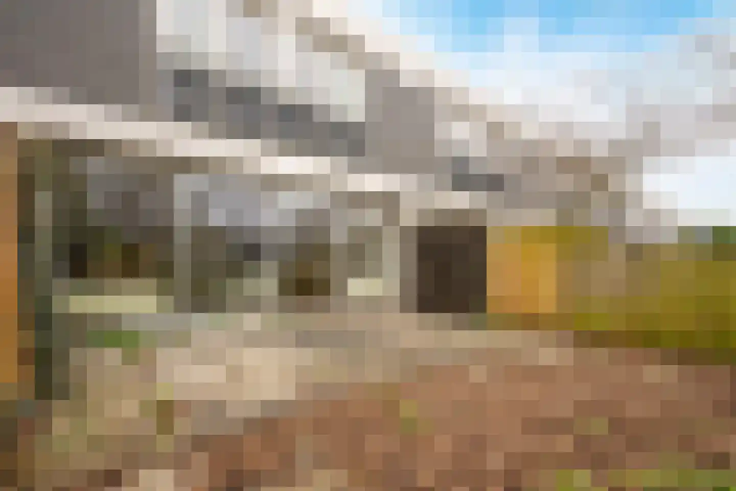 Argusvlinder 6 Diemen thumbnail 26