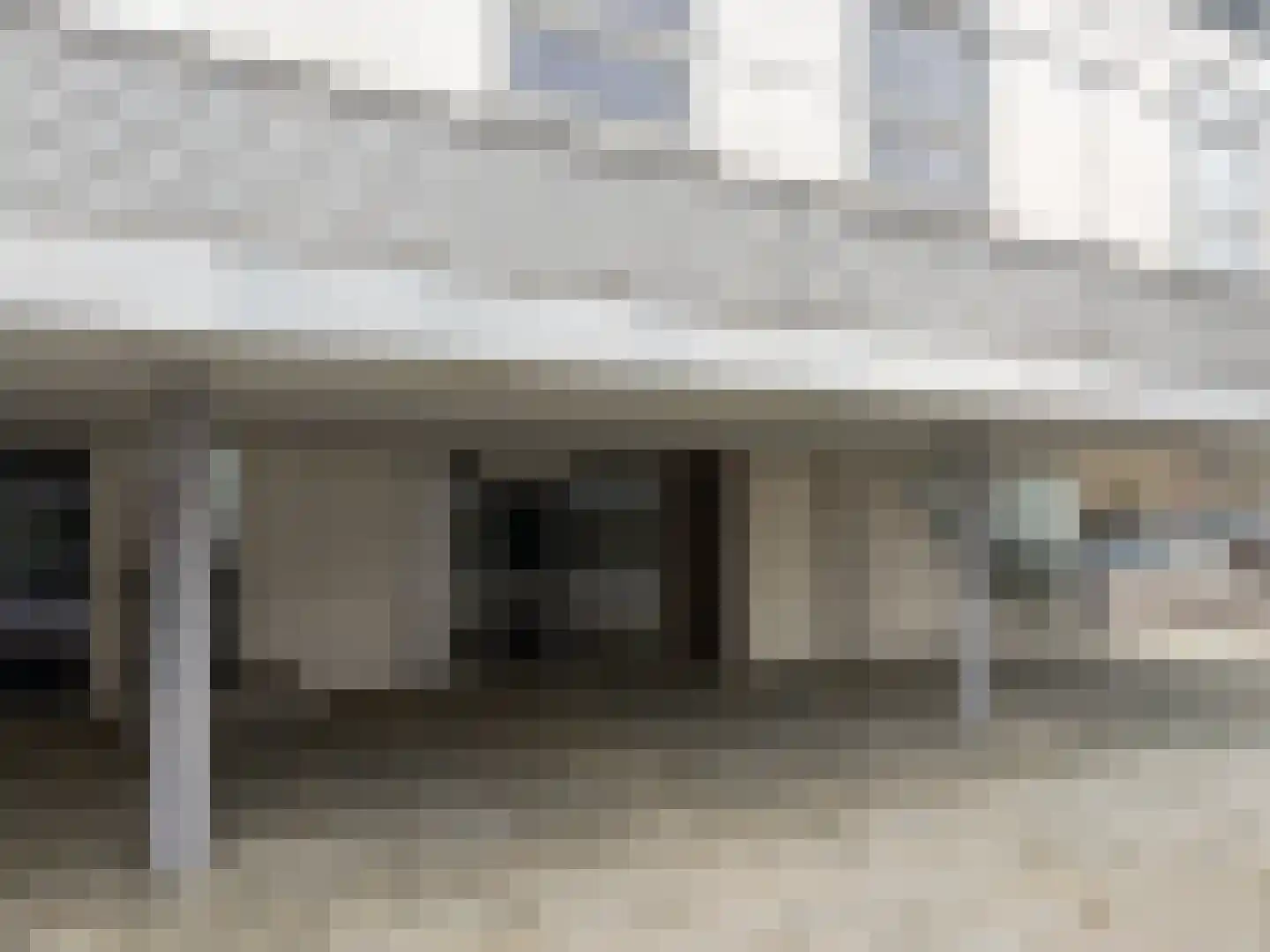 Argusvlinder 6 Diemen thumbnail 30