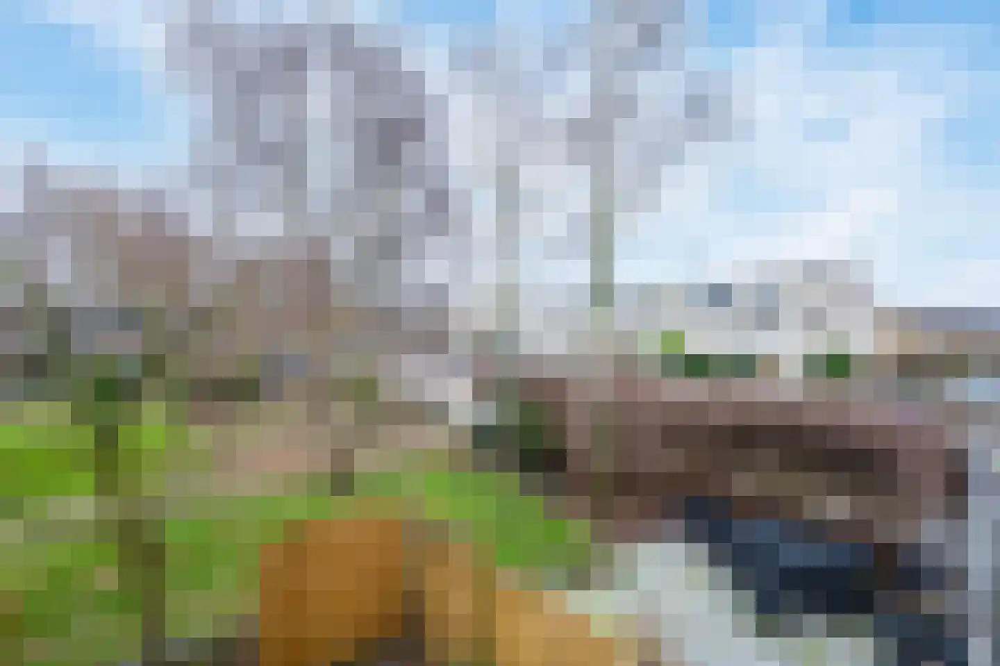 Argusvlinder 6 Diemen thumbnail 31