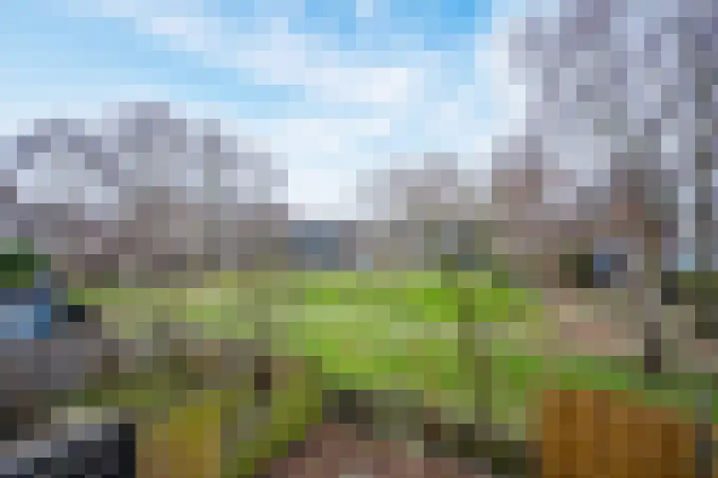 Argusvlinder 6 Diemen thumbnail 32