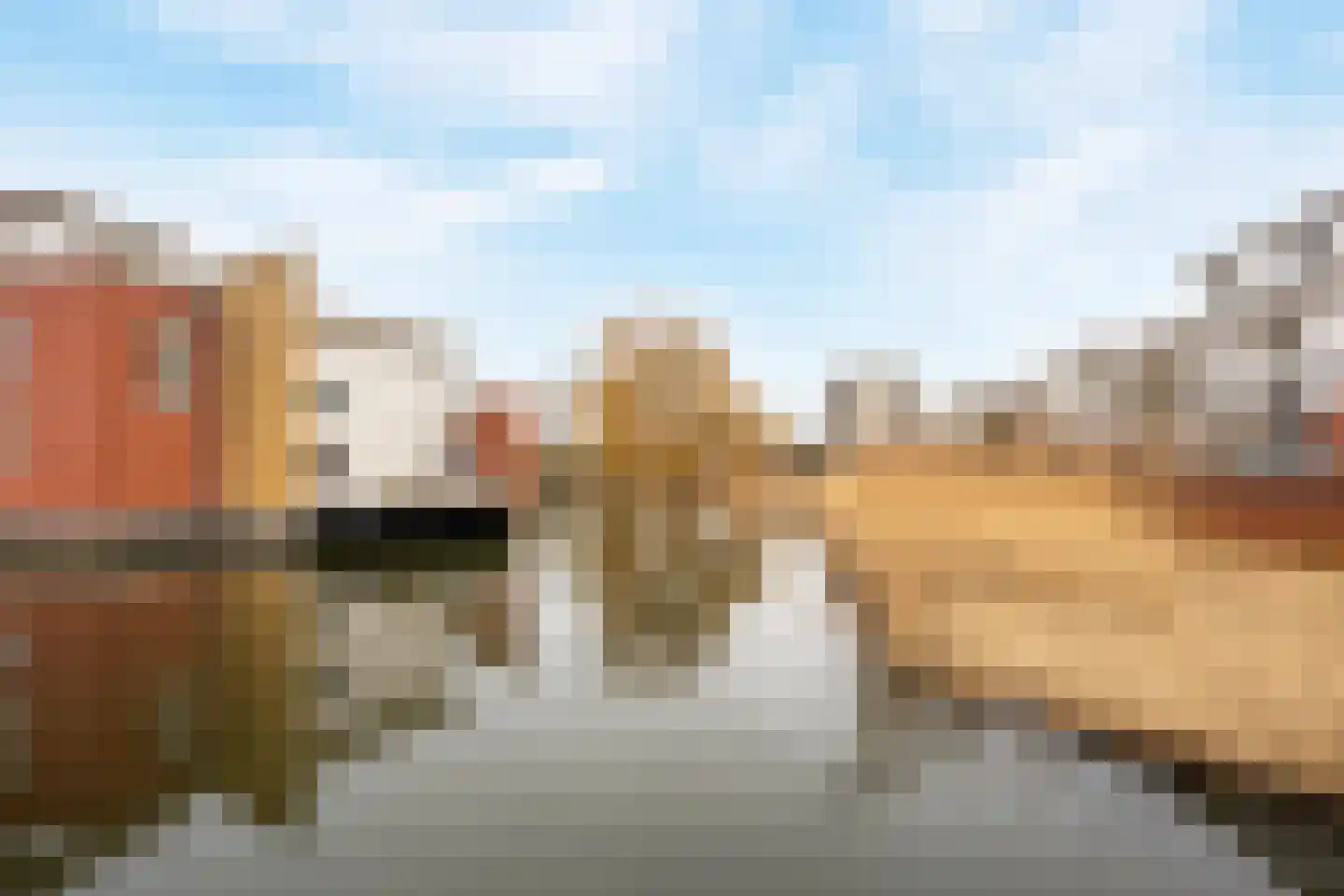 Argusvlinder 6 Diemen thumbnail 33