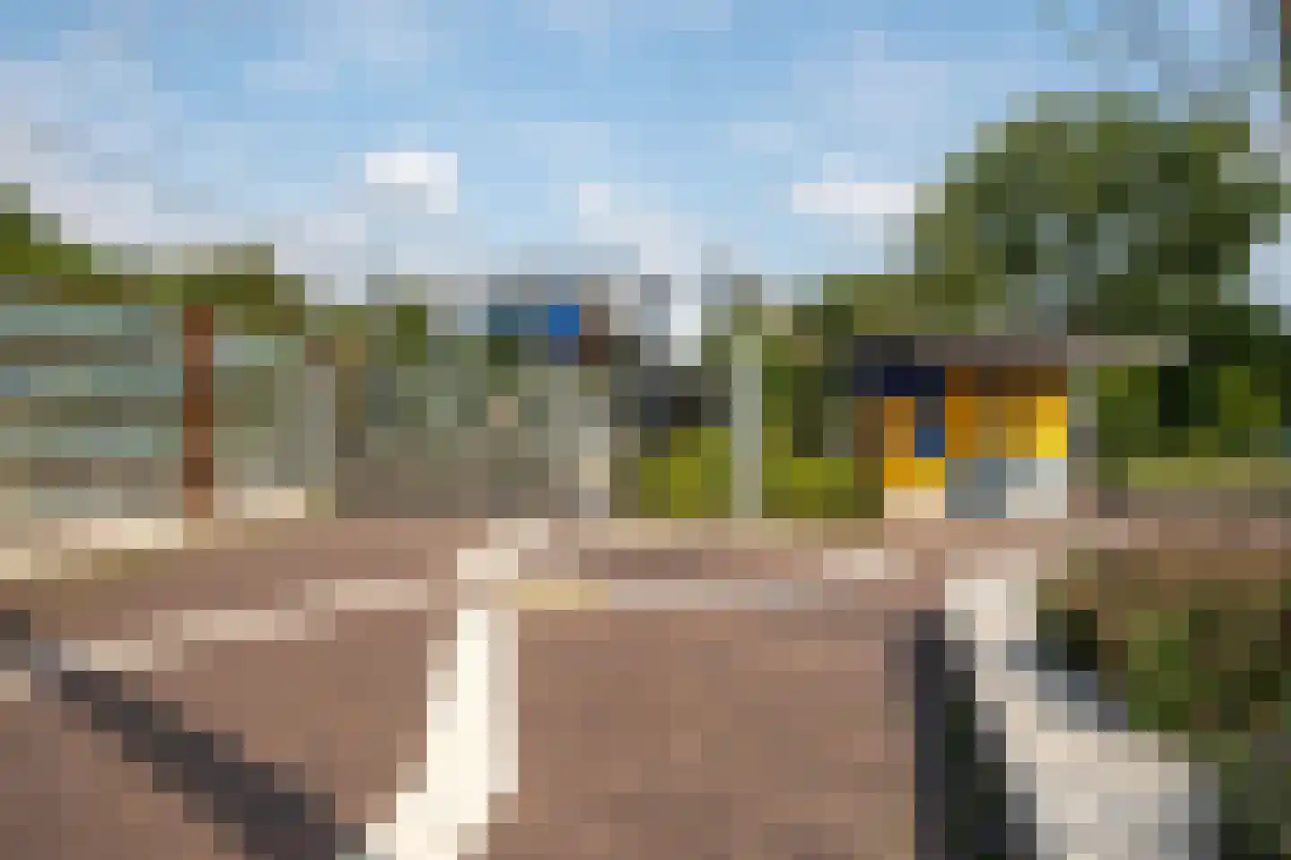 Argusvlinder 6 Diemen thumbnail 34
