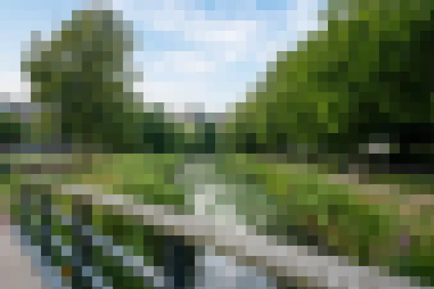 Argusvlinder 6 Diemen thumbnail 37