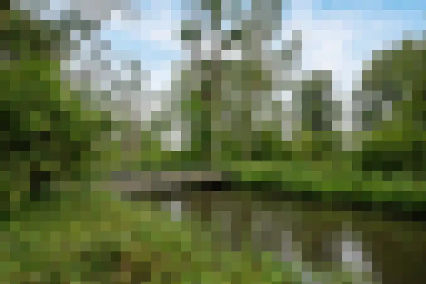 Argusvlinder 6 Diemen thumbnail 38