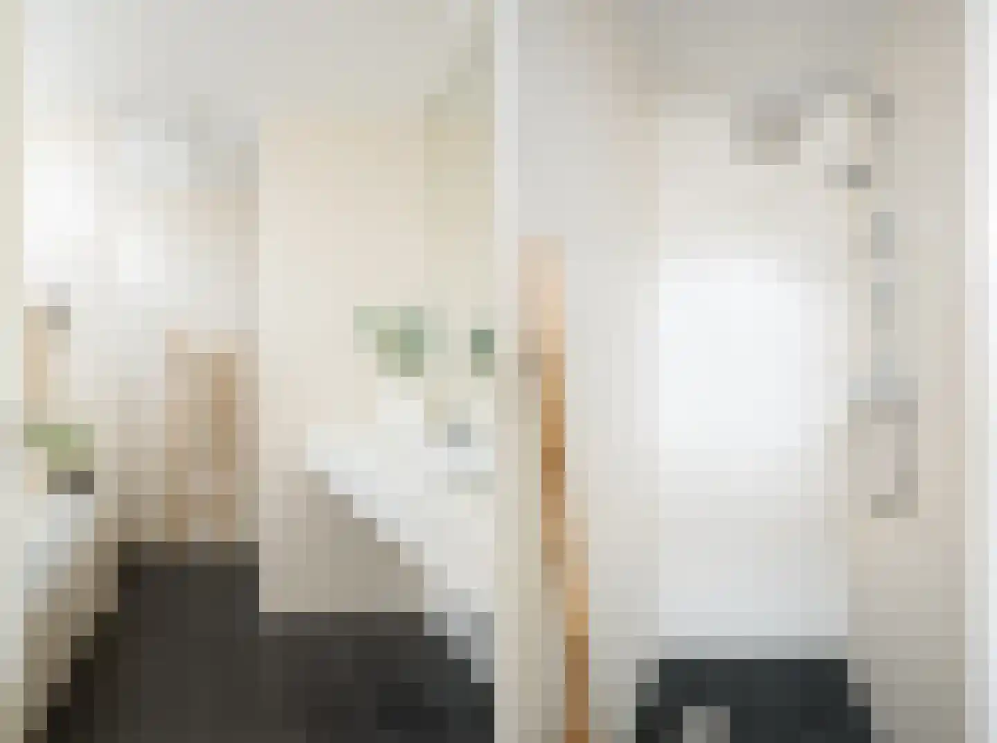 Argusvlinder 6 Diemen thumbnail 4