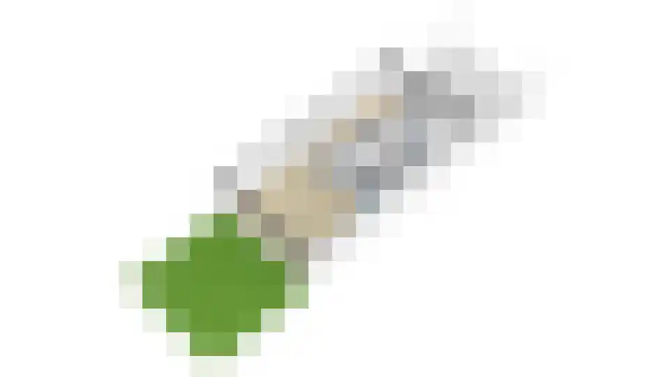 Argusvlinder 6 Diemen thumbnail 40