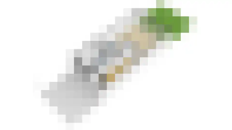 Argusvlinder 6 Diemen thumbnail 41