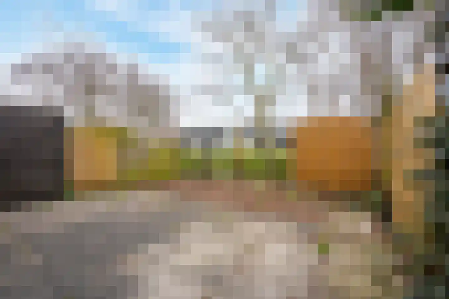 Argusvlinder 6 Diemen thumbnail 5