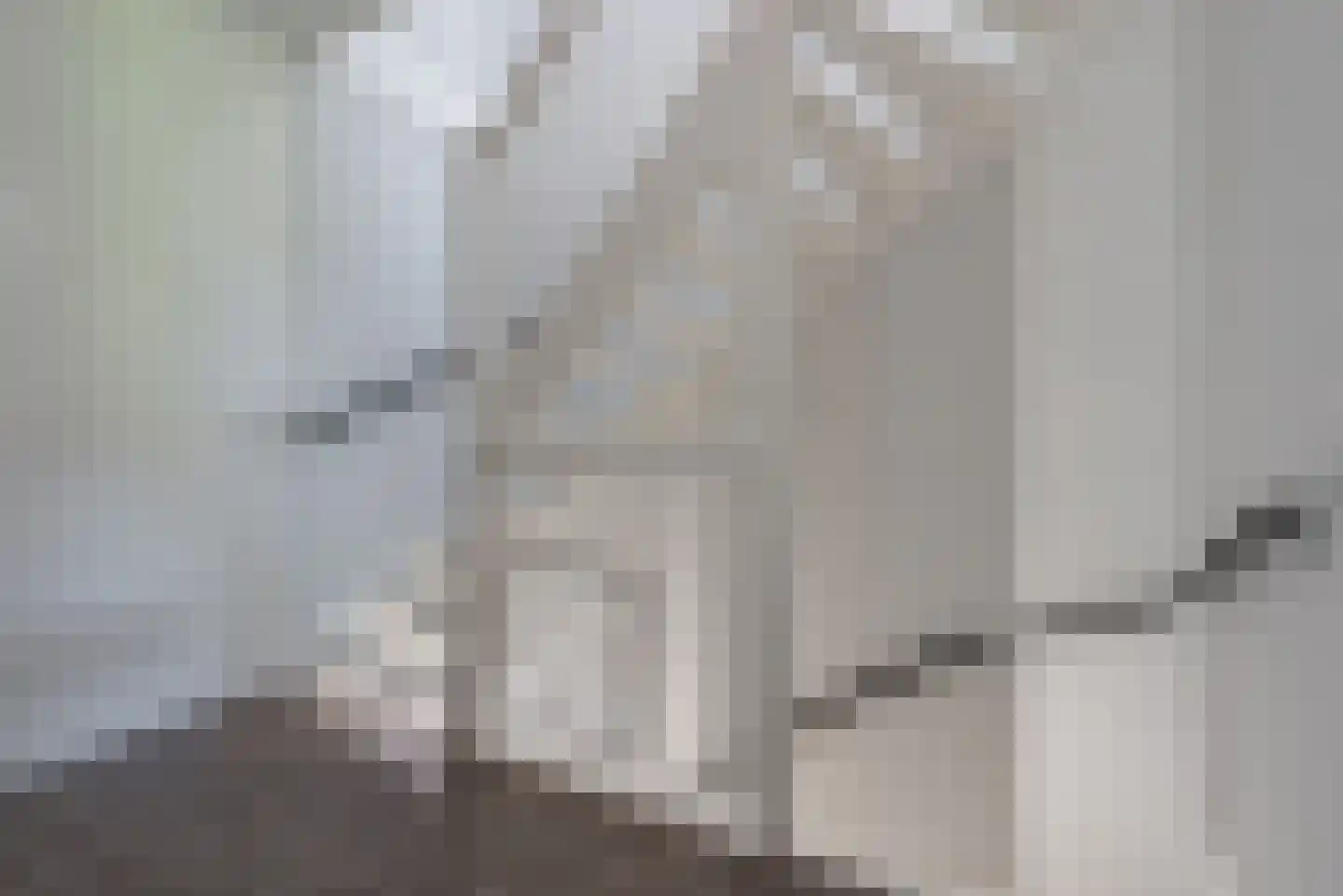 Argusvlinder 6 Nijkerk thumbnail 15