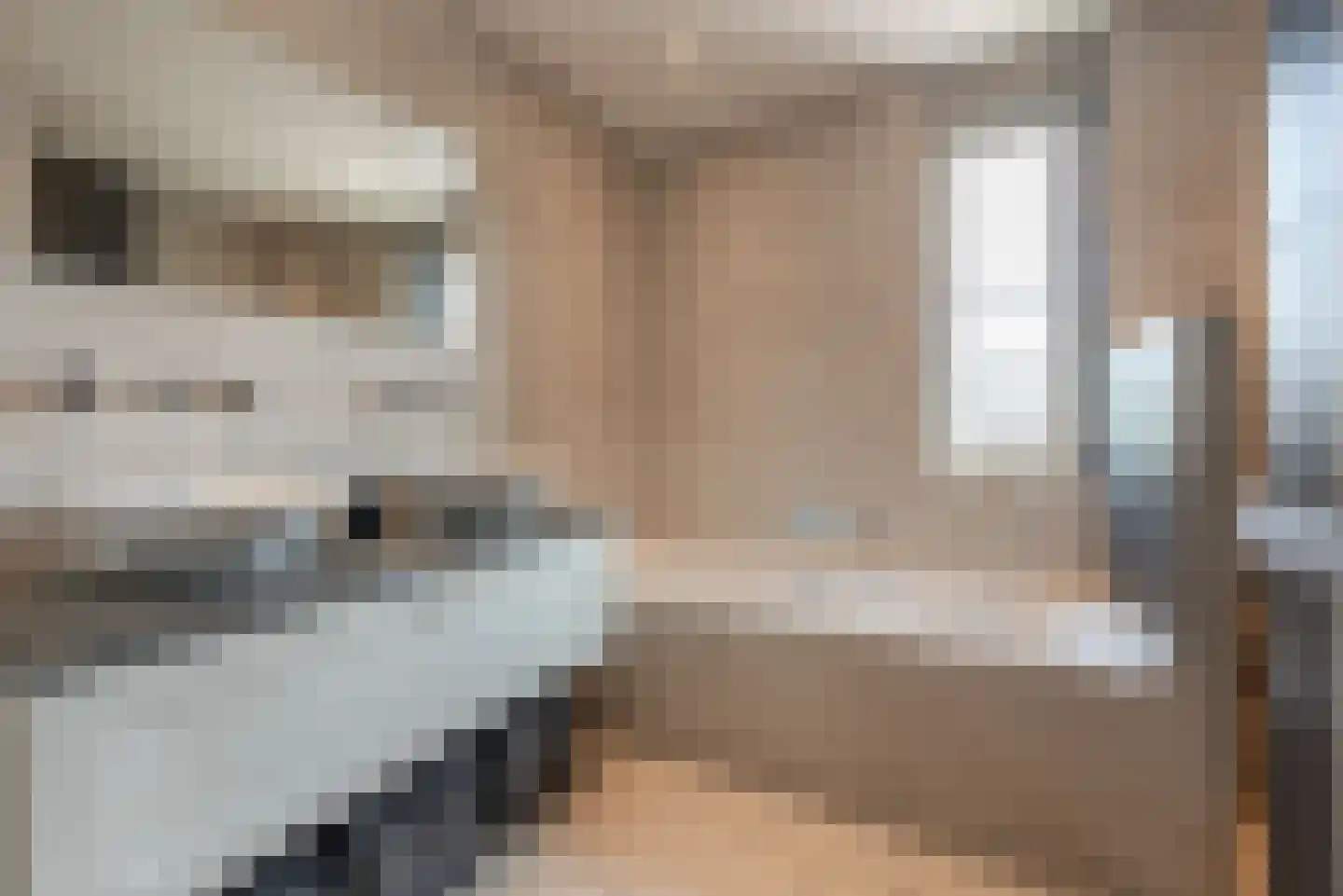 Argusvlinder 6 Nijkerk thumbnail 22