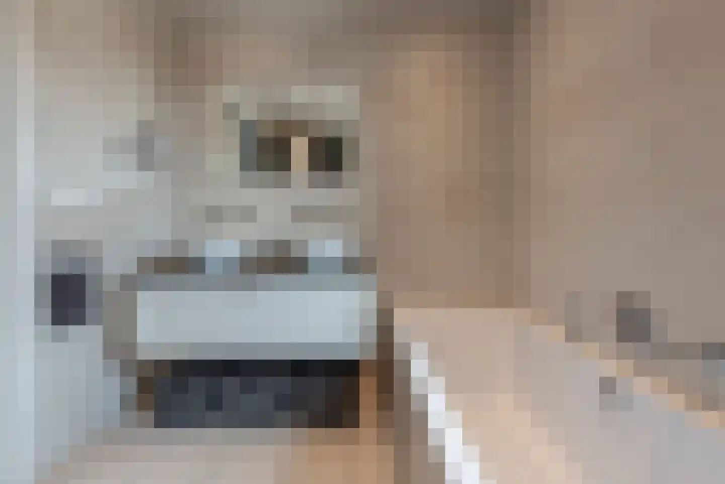 Argusvlinder 6 Nijkerk thumbnail 24